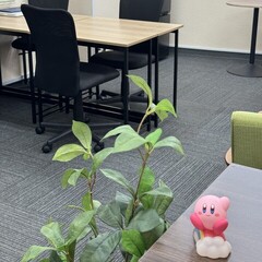 浅草キャンパスはこんな感じですよ～